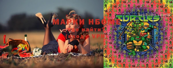 круглые Абаза