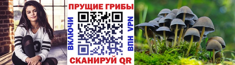 Галлюциногенные грибы GOLDEN TEACHER  Оренбург 