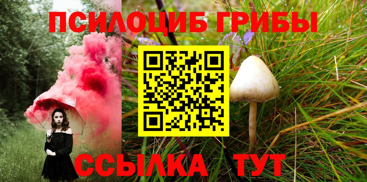 Галлюциногенные грибы Magic Shrooms Оренбург