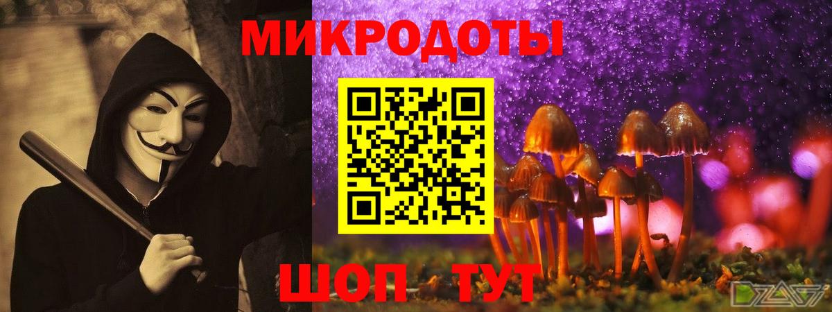 Оренбург  Галлюциногенные грибы Psilocybine cubensis  Вход с VPN 